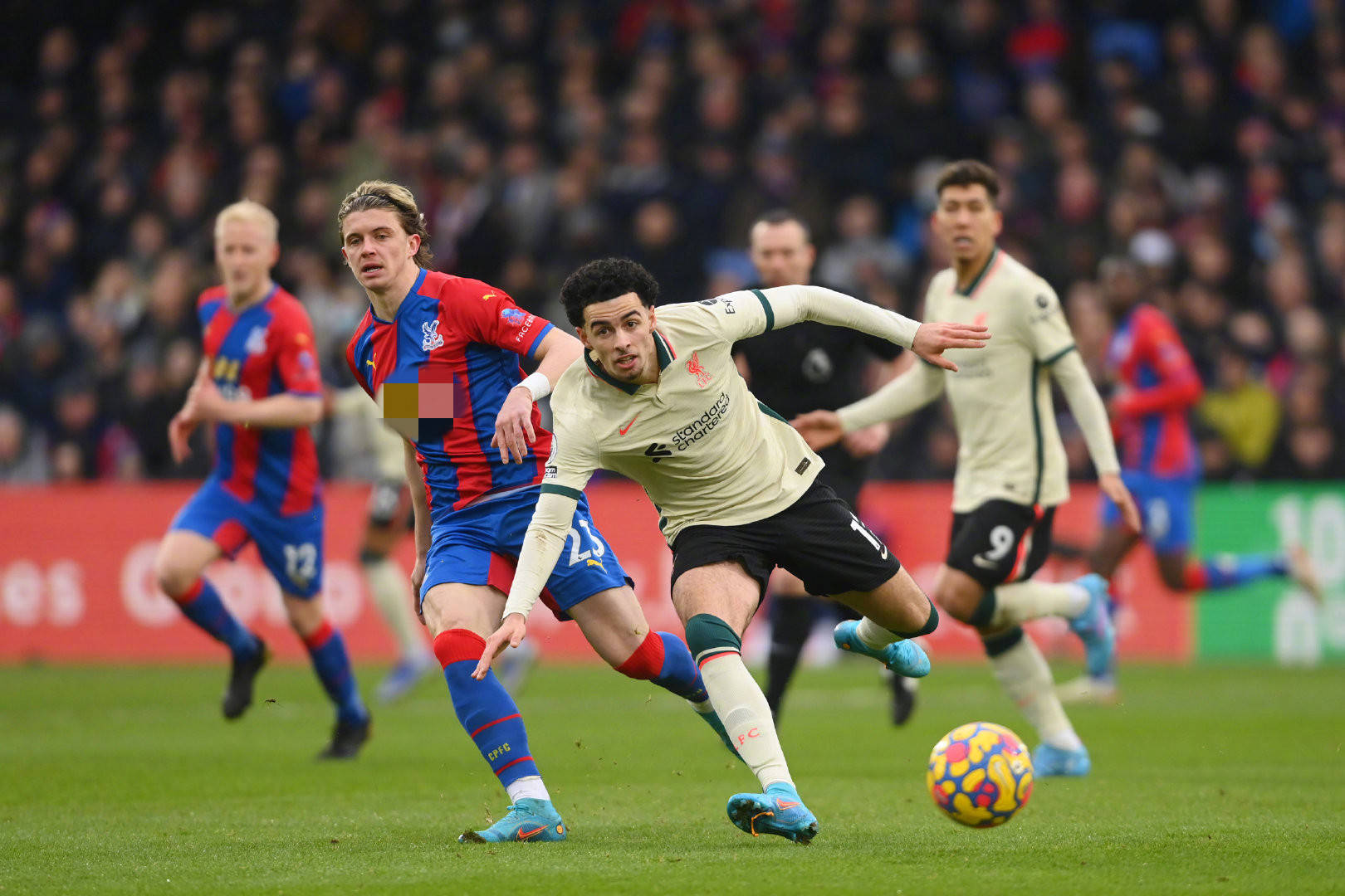 环保和可持 环保和可持